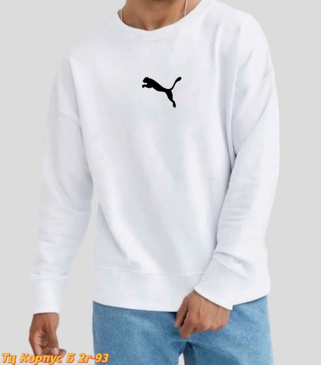 свитшот мужской,свитшот мужской серый,свитшот серый,свитшот повседневный,базовый свитшот повседневный