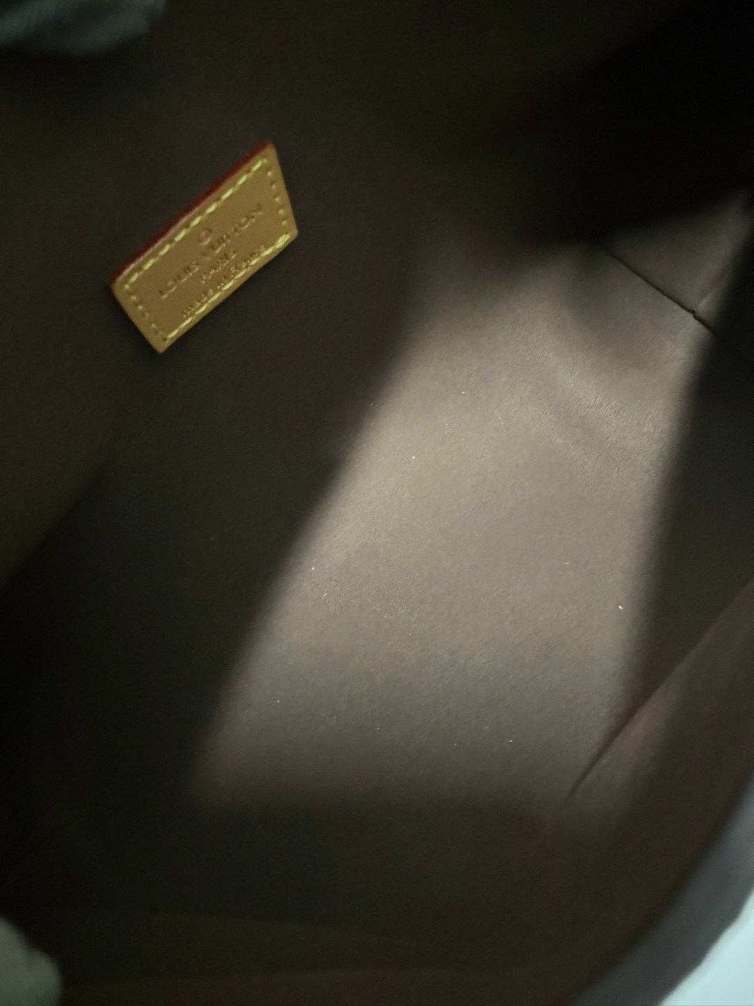 louis vuitton женская сумка,сумка louis vuitton,сумка луи виттон,louis vuitton сумка на плечо,сумка луи виттон полумесяц