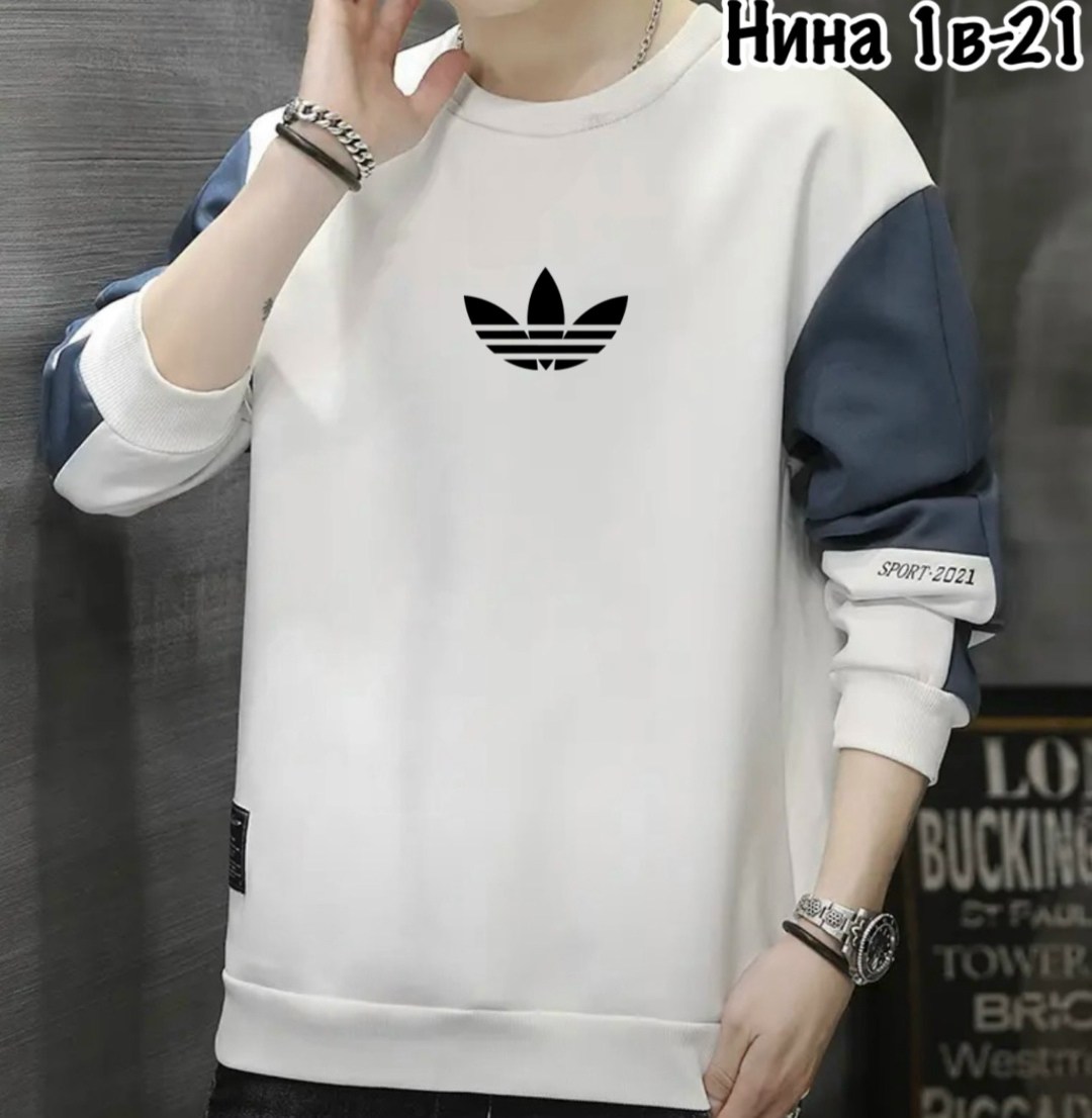 повседневный свитшот,мужские свитшоты,толстовка в стиле,свитшот мужская,мужская толстовка