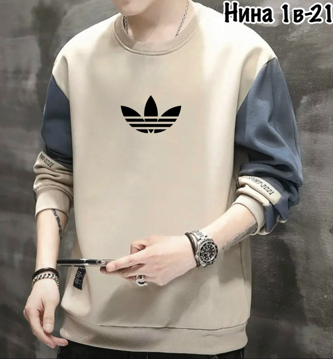 повседневный свитшот,мужские свитшоты,толстовка в стиле,свитшот мужская,мужская толстовка