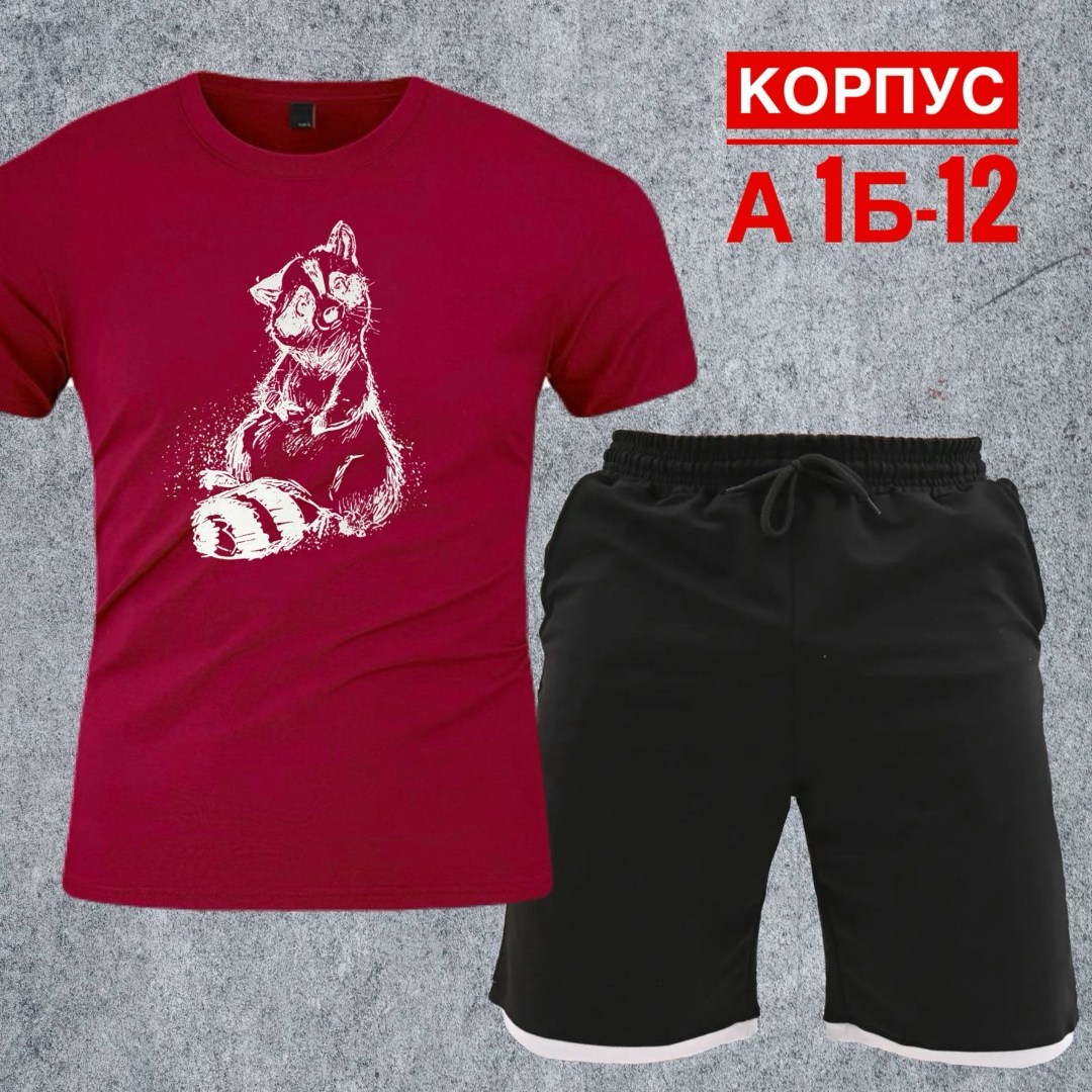 спортивные мужские костюмы,костюм мужской,футболки мужские,спортивные костюм