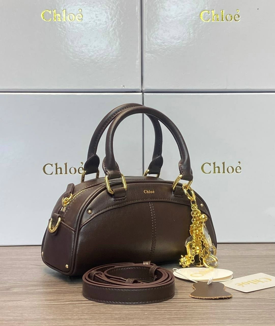 сумка chloe,сумка женская chloe,сумка хлое тесс,сумка chloe tess,chloe daria bag medium