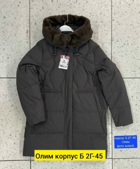 Верхняя одежда