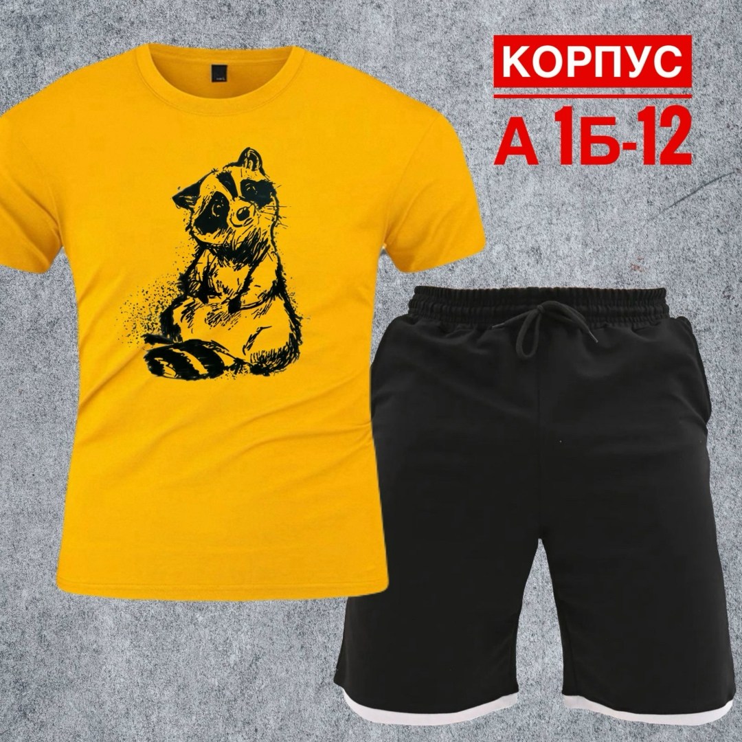 спортивные мужские костюмы,костюм мужской,футболки мужские,спортивные костюм