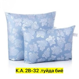 Одежда