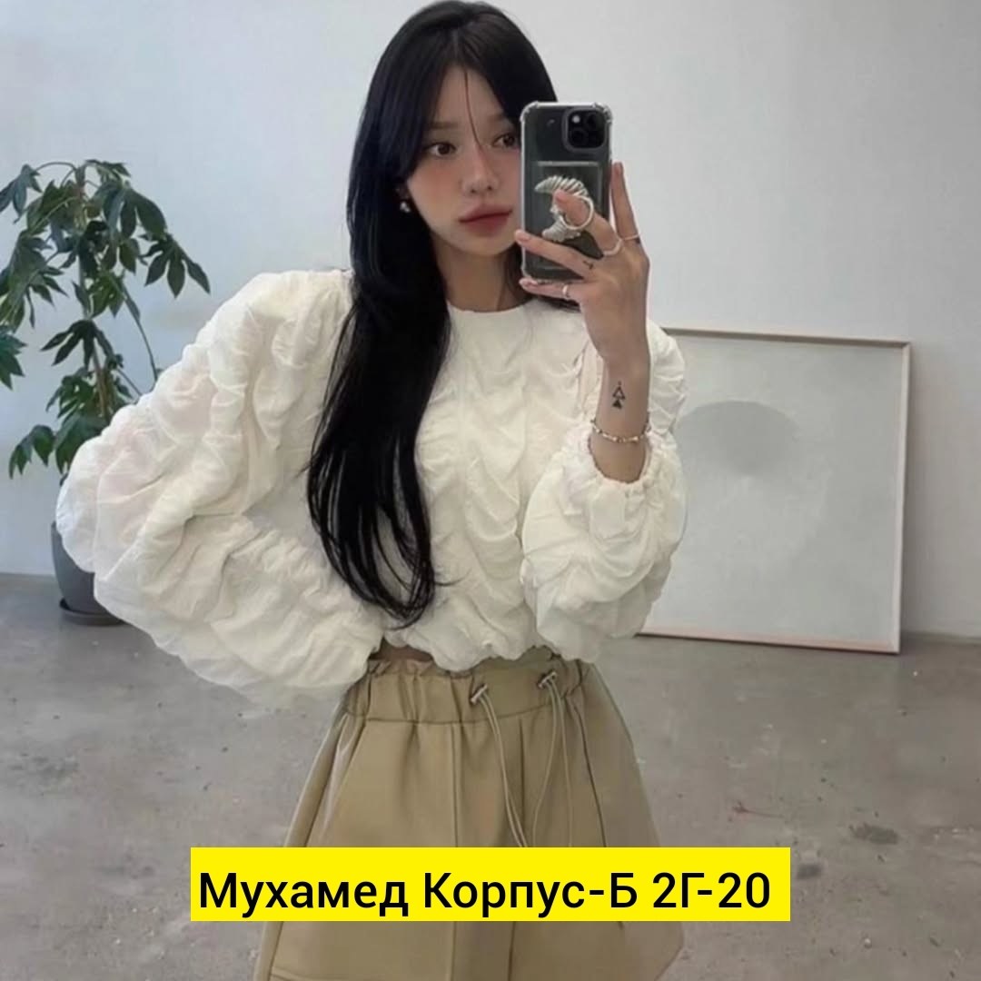 женская блузка с пышными рукавами,блузка женская,блузка с длинным рукавом,блузка с пышными рукавами,женская блузка с длинными рукавами фонариками