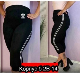 Шорты