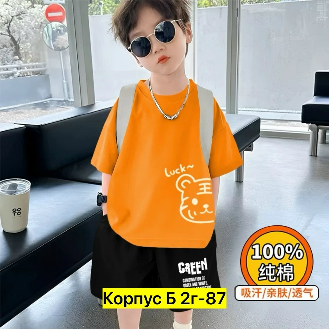 одежда для мальчика,,футболки для мальчиков,комплект одежды для мальчика,детская футболка