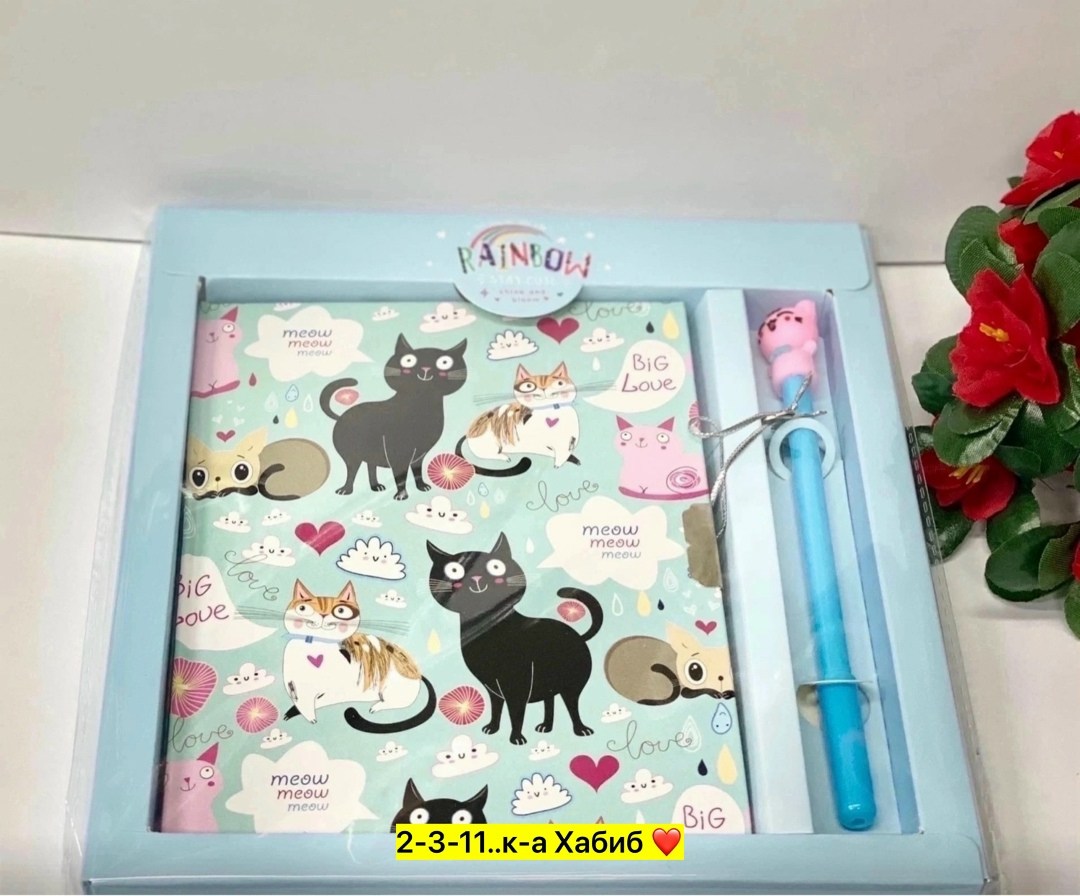 подарочный набор блокнотов,блокнот с ручками,набор блокнот,детский подарочный набор,блокнот подарочный для записей и гелевая ручка