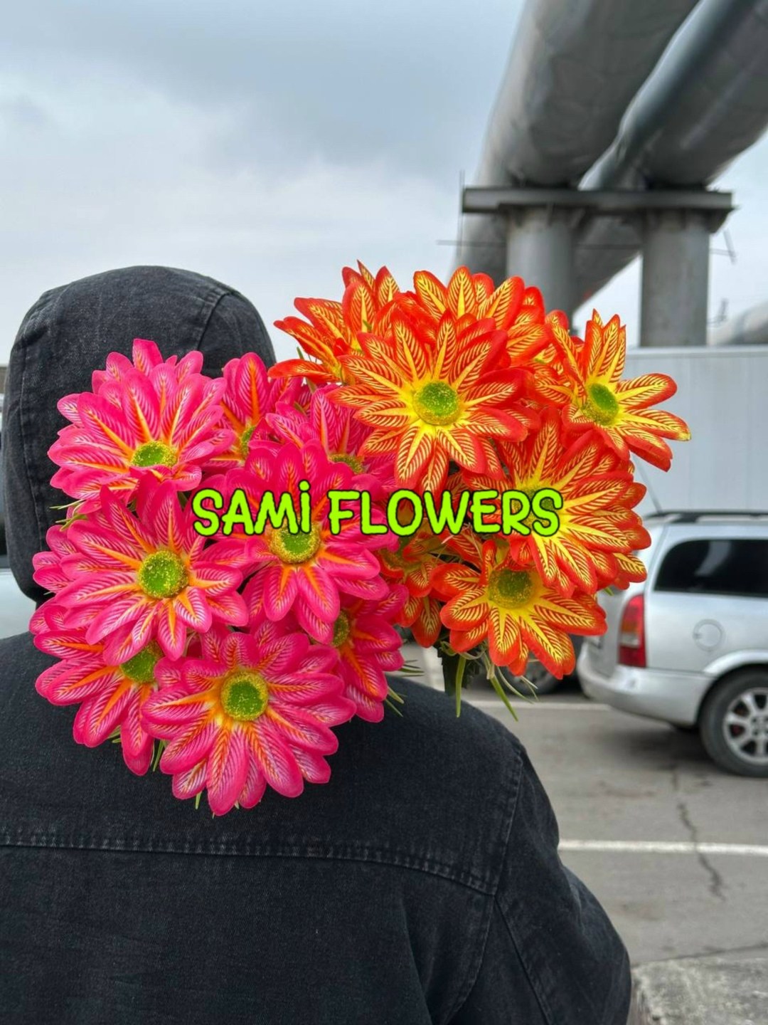 хризантема красная ромашка,chrysanthemum indicum,хризантемы цветок,хризантемы оранжевые,хризантем