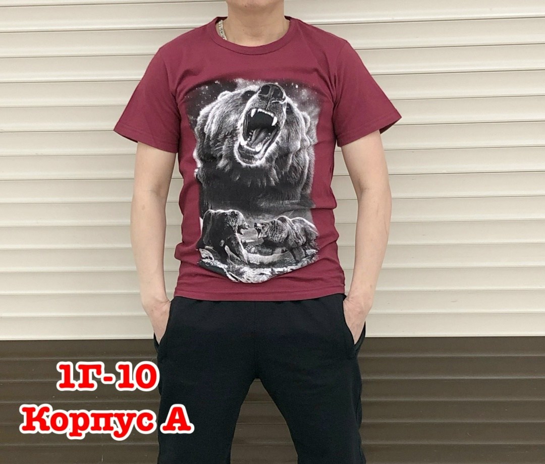 мужская футболка,футболки и майки,футболка,футболки для мужчин,костюм мужской