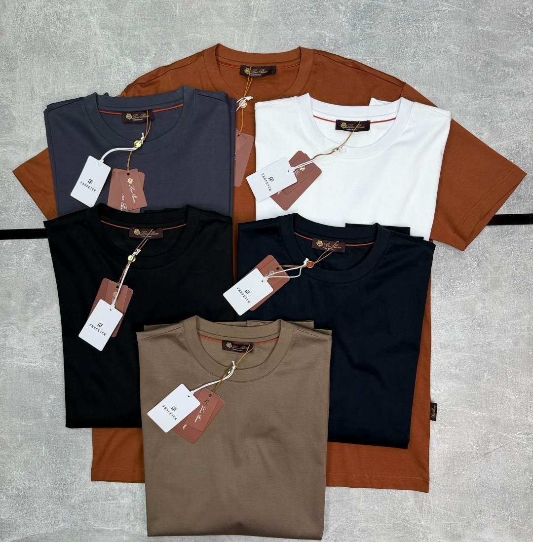 мужская футболка,футболки брендовые,футболка loro piana,футболки для мужчин,футболка