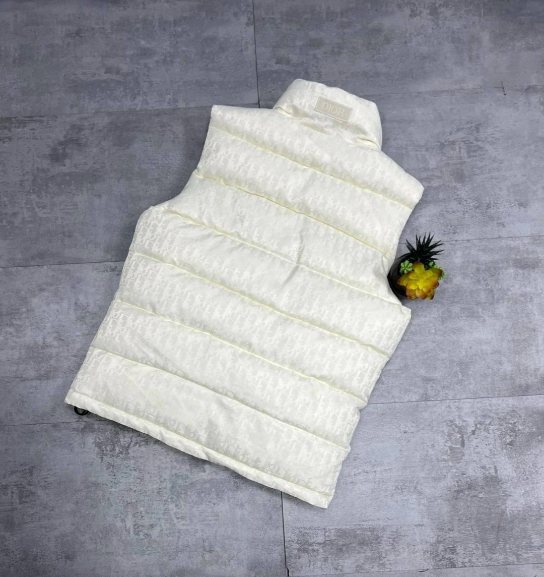 жилетка dior,dior куртка пуховик диор oblique черная,жилет для мужчин плащевка,dior oblique puffer jacket black technical jacquard,пуховик dior