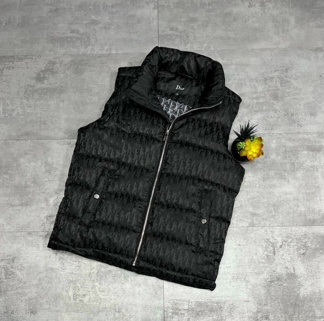 жилетка dior,dior куртка пуховик диор oblique черная,жилет для мужчин плащевка,dior oblique puffer jacket black technical jacquard,пуховик dior