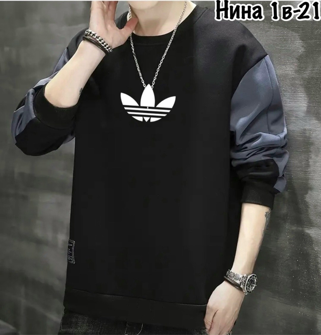 толстовка в стиле,толстовка мужская,мужской свитшот,повседневный свитшот,кофта мужская