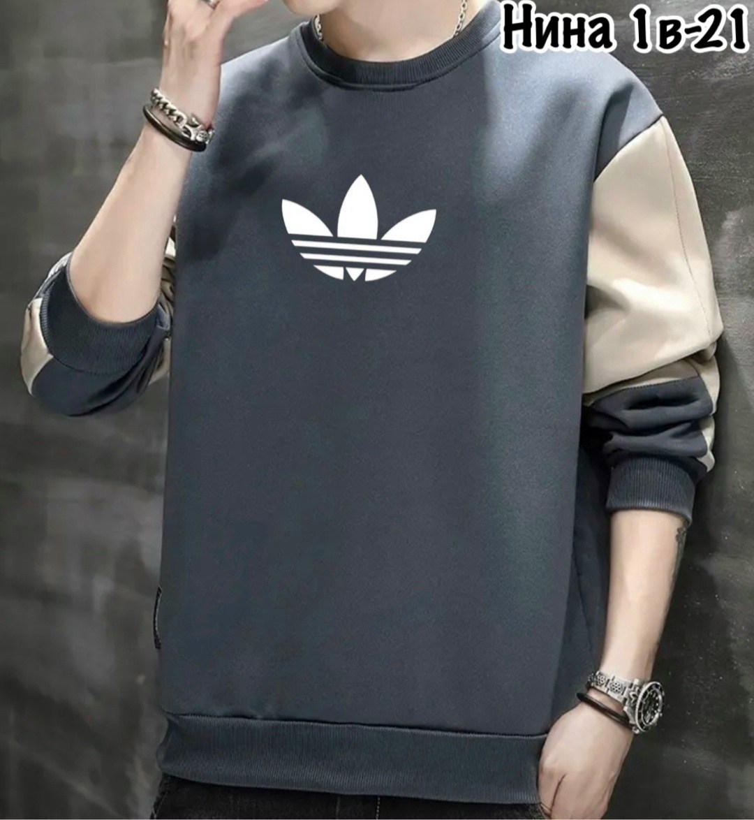 толстовка в стиле,толстовка мужская,мужской свитшот,повседневный свитшот,кофта мужская