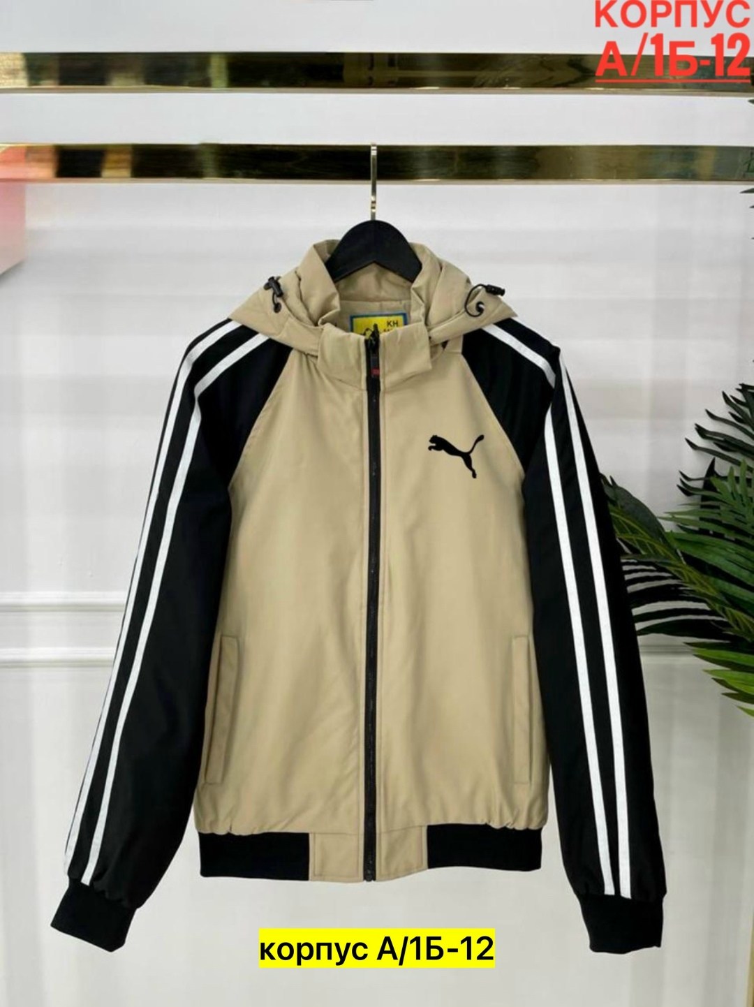 nike ветровка,куртка модная,ветровка,ветровка мужская,adidas ветровка