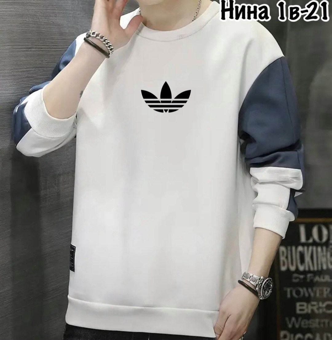 толстовка в стиле,толстовка мужская,мужской свитшот,повседневный свитшот,кофта мужская