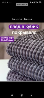 Одежда