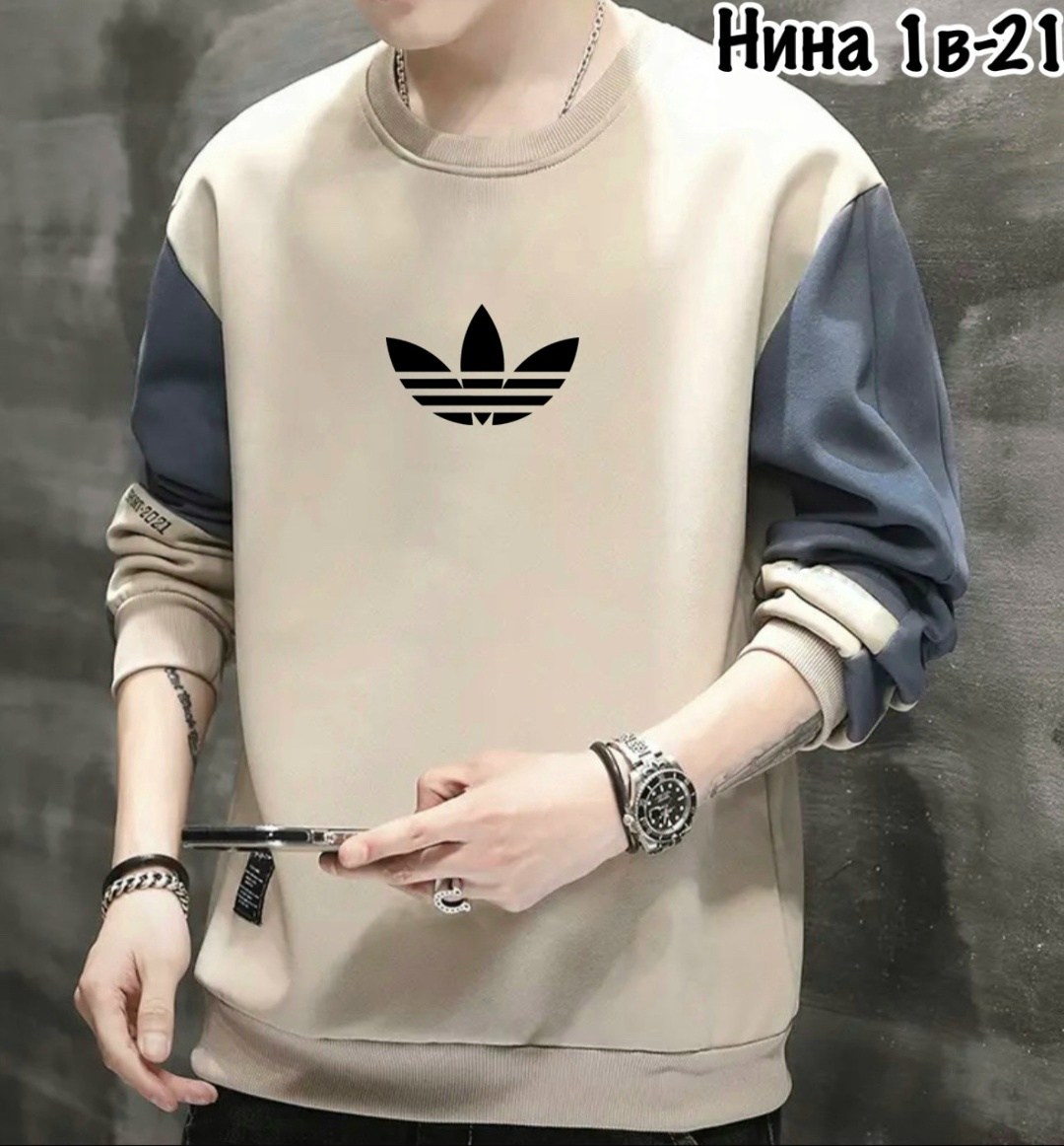 толстовка в стиле,толстовка мужская,мужской свитшот,повседневный свитшот,кофта мужская