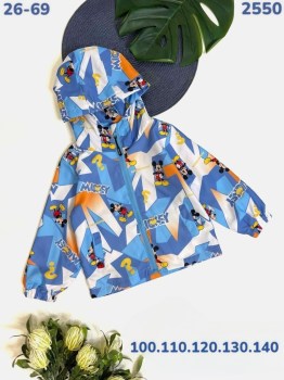 Верхняя одежда