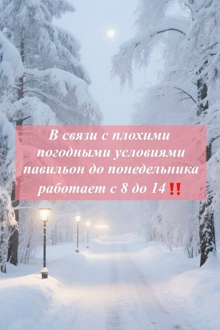 пейзаж зимний,зимнего понедельника,доброго зимнего понедельника,доброе февральское утро понедельника,идеальная зима