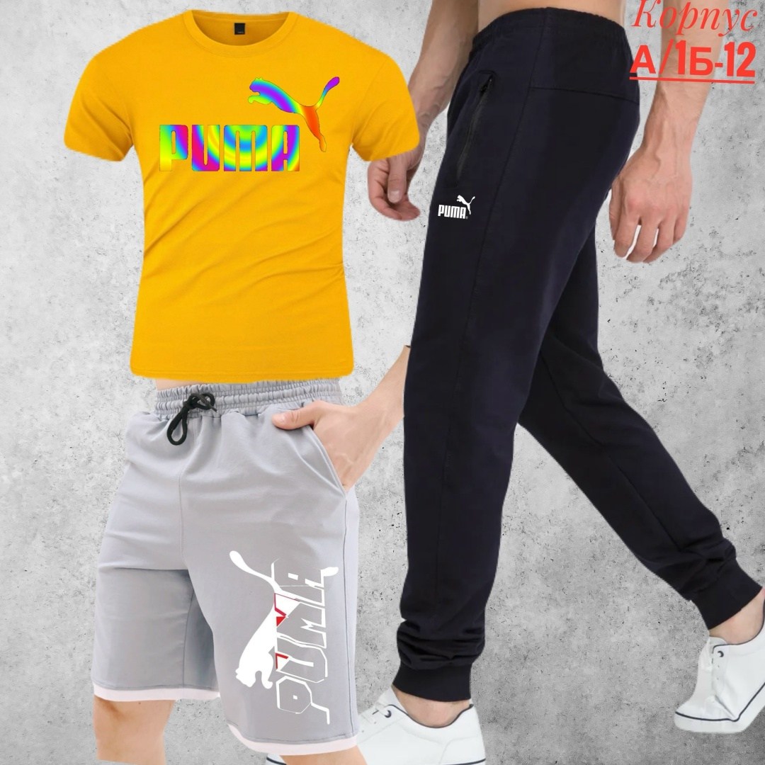 костюм спортивный мужской,спортивный костюм мужской puma,спортивные костюм,спорт костюм,мужская спортивная одежда