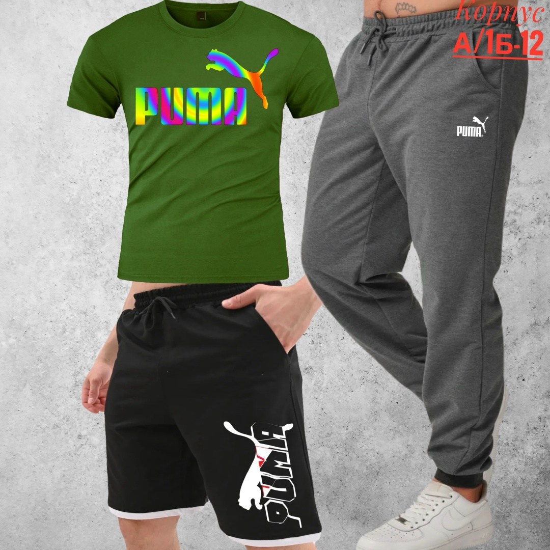 костюм спортивный мужской,спортивный костюм мужской puma,спортивные костюм,спорт костюм,мужская спортивная одежда