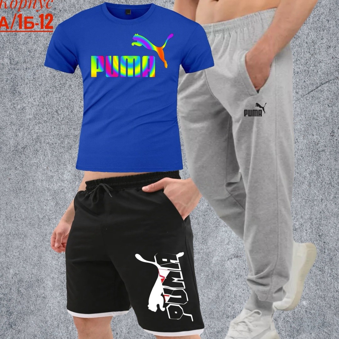 костюм спортивный мужской,спортивный костюм мужской puma,спортивные костюм,спорт костюм,мужская спортивная одежда