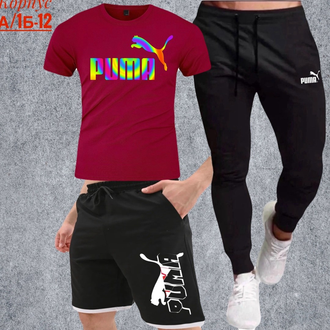 костюм спортивный мужской,спортивный костюм мужской puma,спортивные костюм,спорт костюм,мужская спортивная одежда