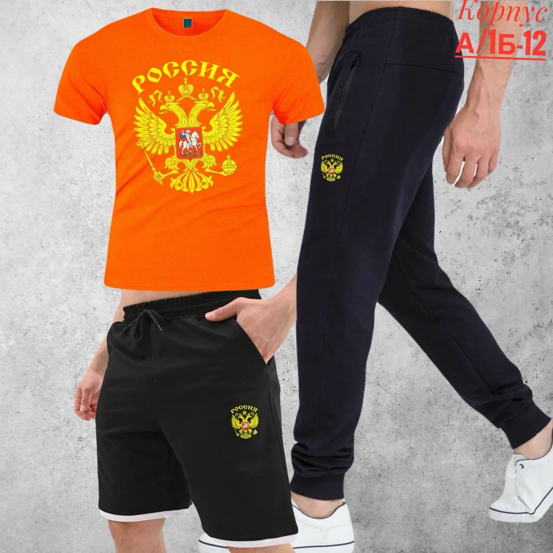 футболки россия,футболка герб россии,футболка с гербом,футболка мужская с гербом россии,костюм для мужчин