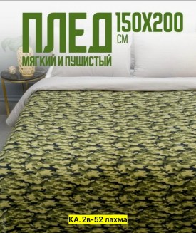 Одежда