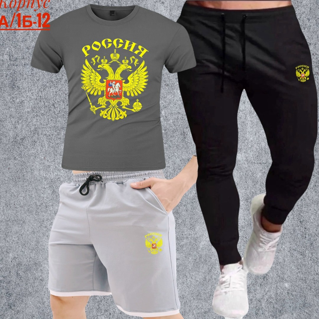 футболки россия,футболка с гербом,футболка мужская с гербом россии,футболка россия мужская,костюм спортивный мужской