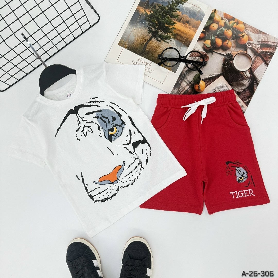 комплект одежды для мальчика,костюм для мальчиков,трикотажный костюм с шортами,летний костюм для мальчика,детские костюмы