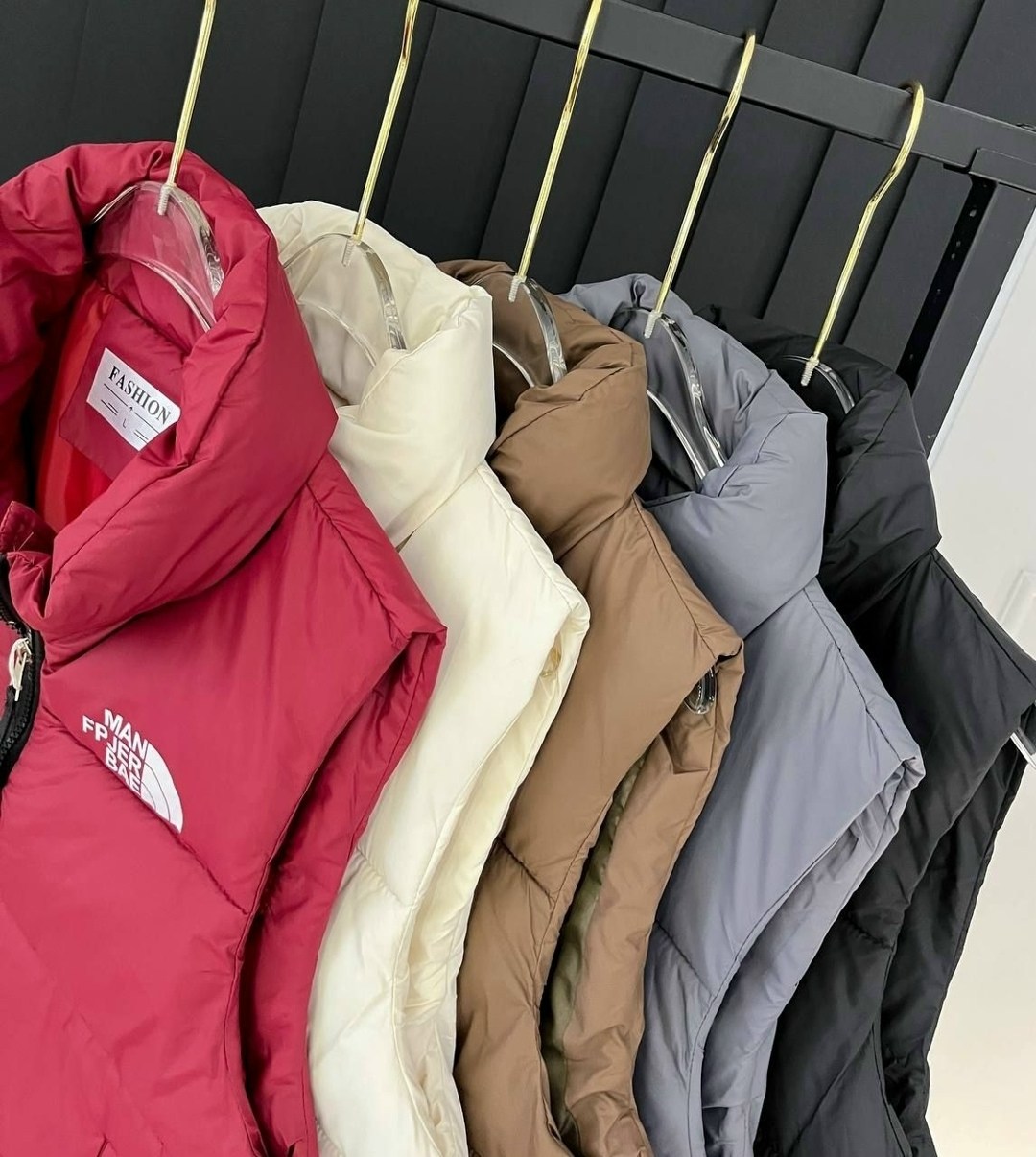 жилетка,жилетка женская,жилет,жилет the north face,жилетка the north face