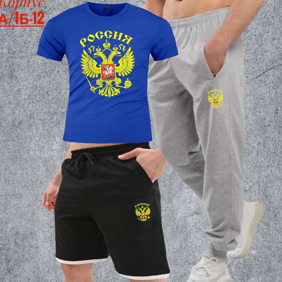 футболки россия,футболка с гербом,футболка мужская с гербом россии,футболка россия мужская,костюм спортивный мужской