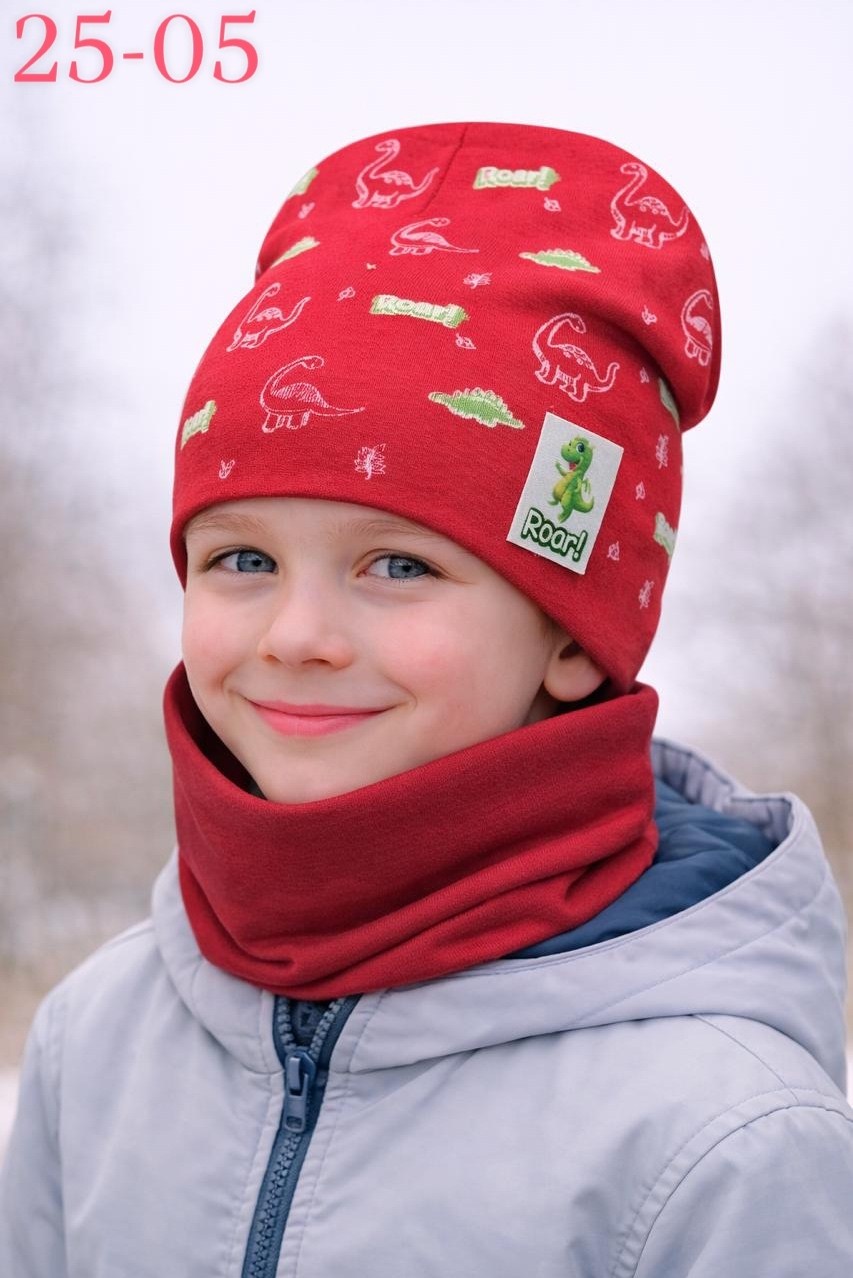 шапка и снуд для мальчика,комплект шапка снуд,комплект шапка и снуд для мальчика,шапка для мальчика,шапка демисезонная для мальчика