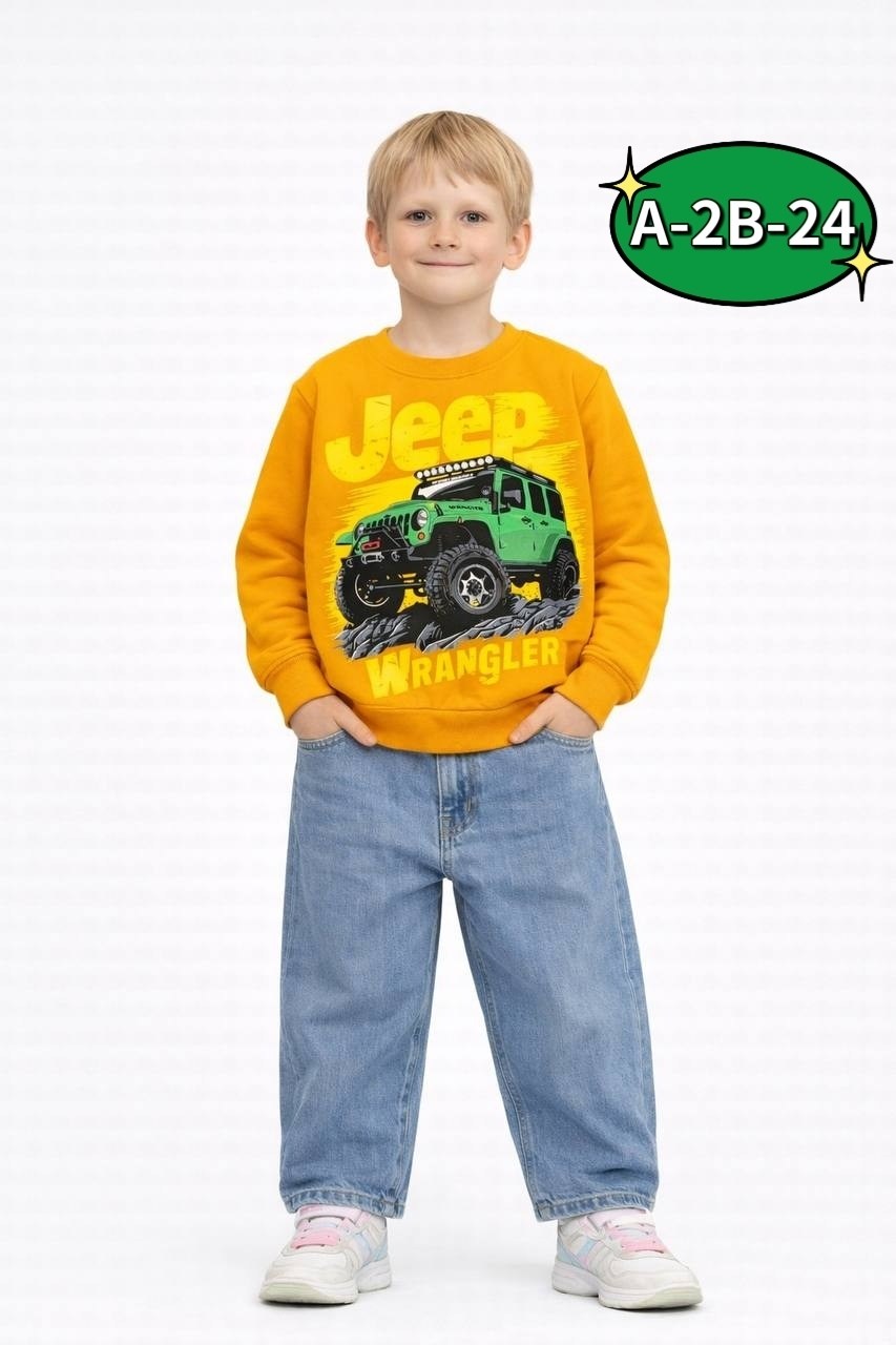 свитшот для мальчика,джемпер детский,джемпер для мальчика,толстовка для мальчика,кофта для мальчика