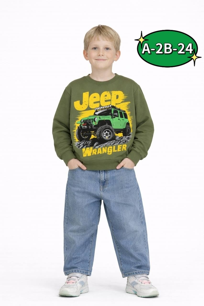 свитшот для мальчика,джемпер детский,джемпер для мальчика,толстовка для мальчика,кофта для мальчика