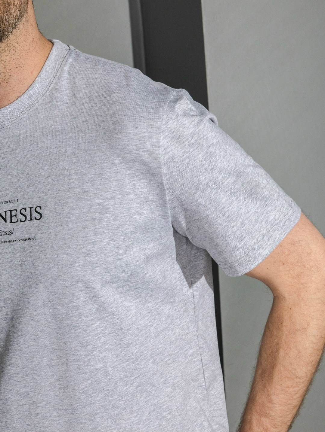 мужская футболка,футболка,серая футболка мужская,футболки мужские хлопок,футболка с принтом