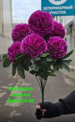 Новый год