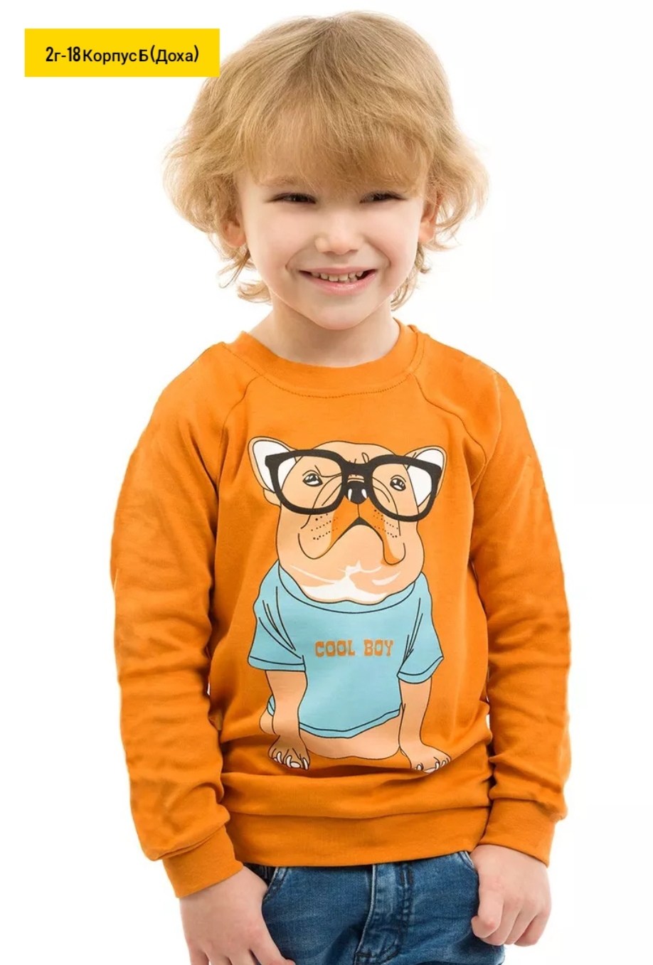 лонгслив для мальчика,свитшот для мальчиков детский,джемпер для мальчика,кофта для мальчика,свитшот для подростков