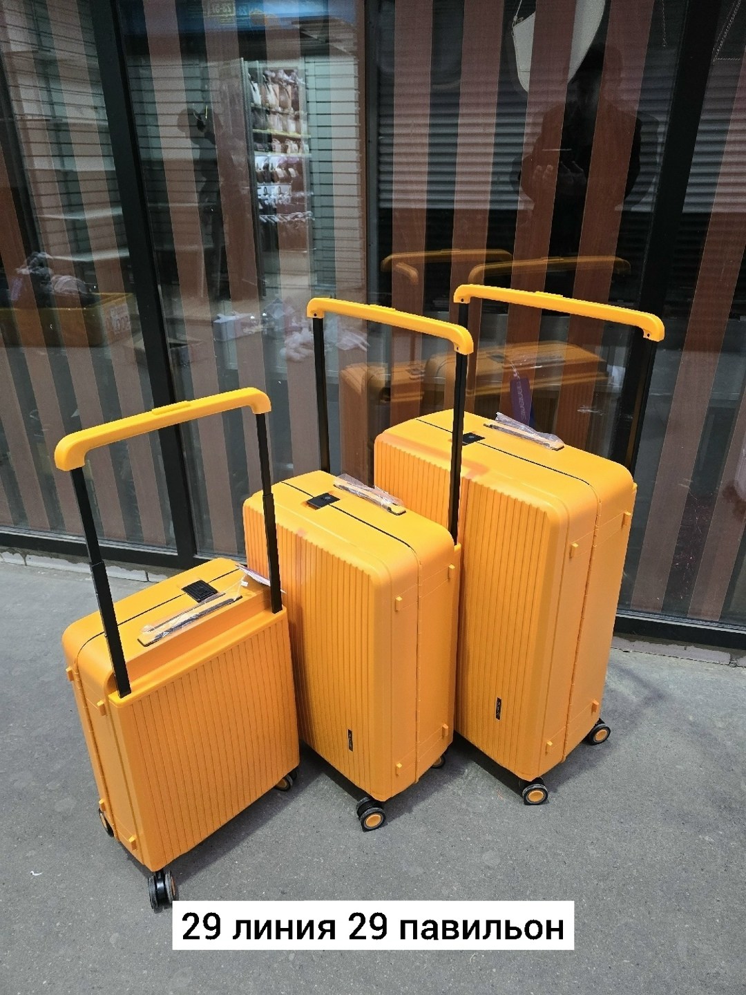 чемодан на колесах,чемодан,чемодан на колесиках,чемодан большой,чемодан женский