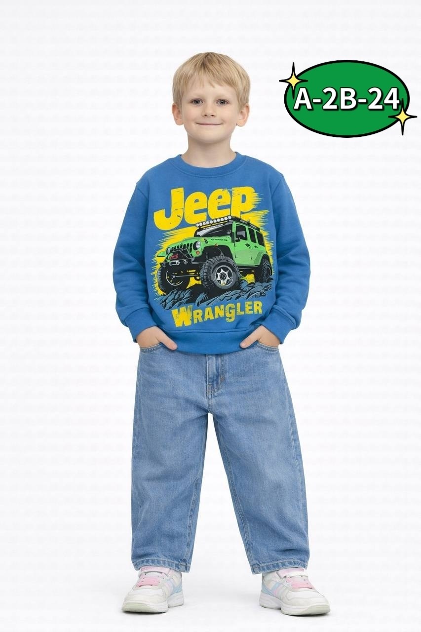 свитшот для мальчика,джемпер детский,джемпер для мальчика,толстовка для мальчика,кофта для мальчика