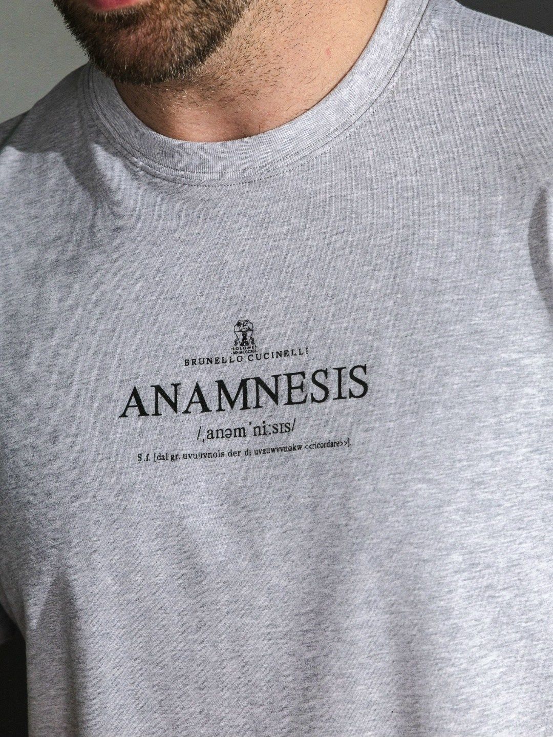 мужская футболка,футболка,серая футболка мужская,футболки мужские хлопок,футболка с принтом