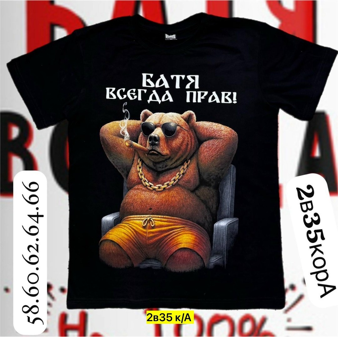 футболка с медведем,футболки мужские,футболка,футболки для мужчин,футболка мужская медведь