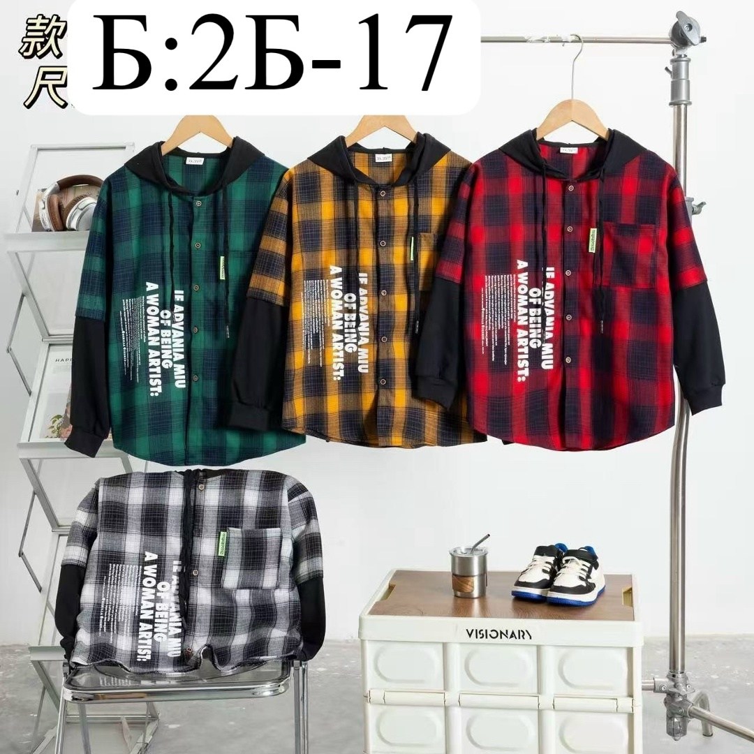 рубашка с капюшоном,рубашка детская,рубашка в клетку с капюшоном,рубашка для мальчика,рубашка в клетку с капюшоном детская