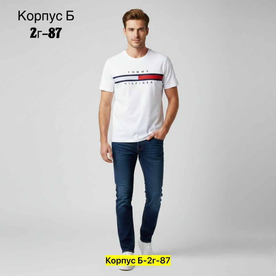 футболка мужская tommy hilfiger,футболка томми хилфигер мужские,футболки tommy hilfiger,футболки мужские,мужская мода