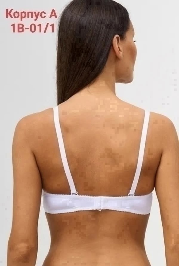 бюстгальтер женские,бюстгальтер,бюстгальтер пуш ап,бюстгальтер анжелика,бюстгальтер женский пуш ап