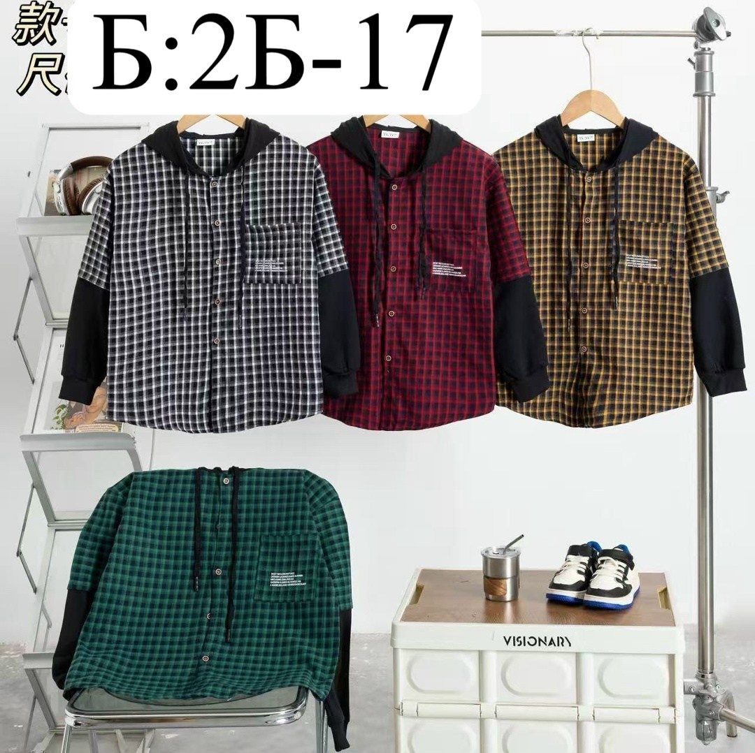 рубашка с капюшоном,рубашка детская,рубашка в клетку с капюшоном,рубашка для мальчика,рубашка в клетку с капюшоном детская